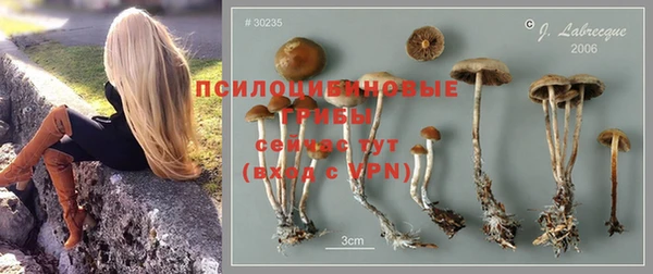 синтетический гашиш Пестово