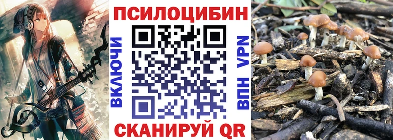 магазин продажи   Барыш  Псилоцибиновые грибы мухоморы 